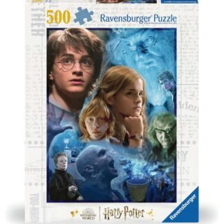 harry potter à poudlard